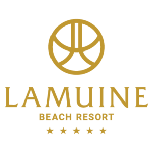 LMN Logo